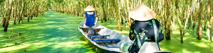 Mekong Delta Tours 1 Day